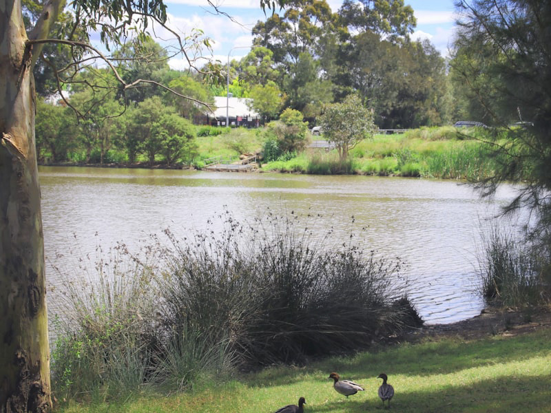 A non-walled holding dam that couples storage for stormwater with safe recreational space for locals.