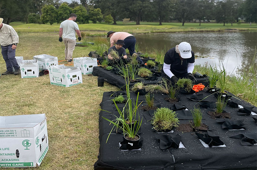 Volunteers on the river bank planting plants to create floating wetlands