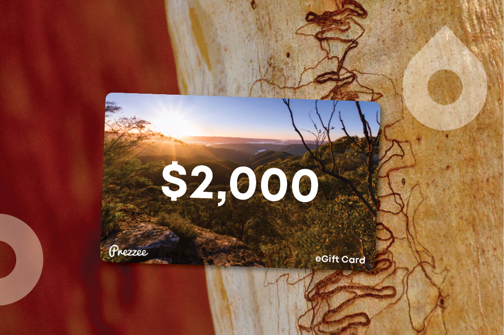 A woman’s hands hold an e-gift card while looking at the promotion on a tablet. The promotion says Go paperless and you could win a $2000 gift card.