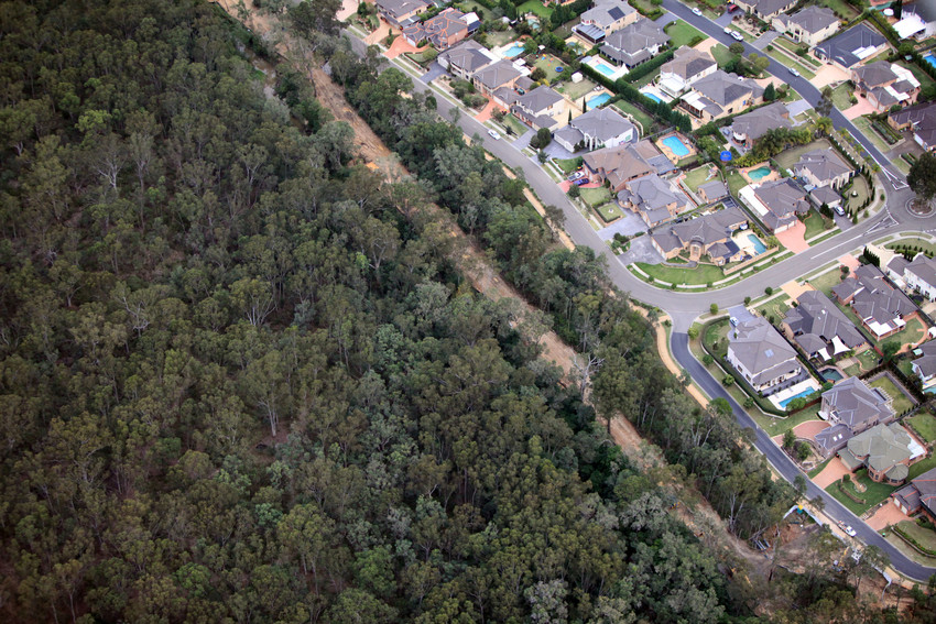 Aerial photo of residential houses next to a dense forest