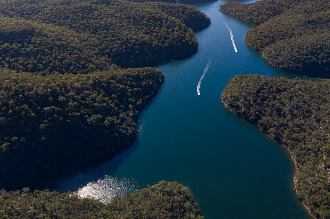 The beautiful waterways around sydney are great for people and wildlife. Cowan creek, Sydney, NSW, Australia.
