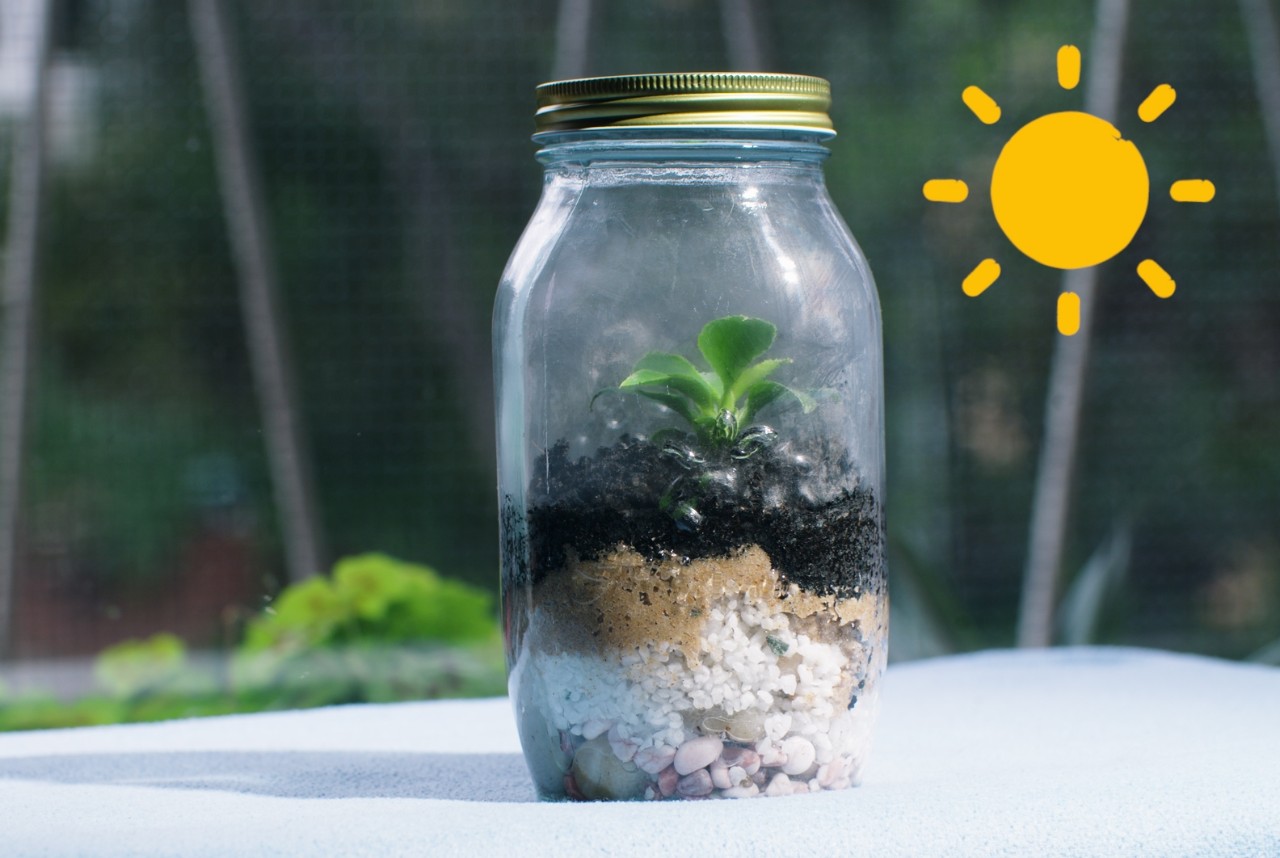 A small terrarium inside a small glass jar. 