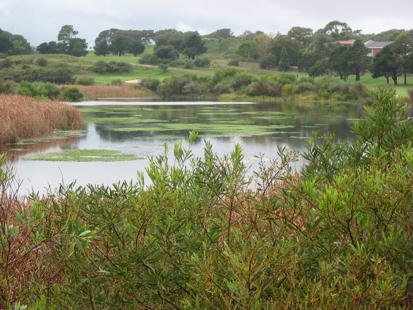 Stormwater