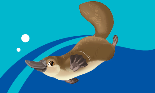 Jila, the Wonders of Water platypus