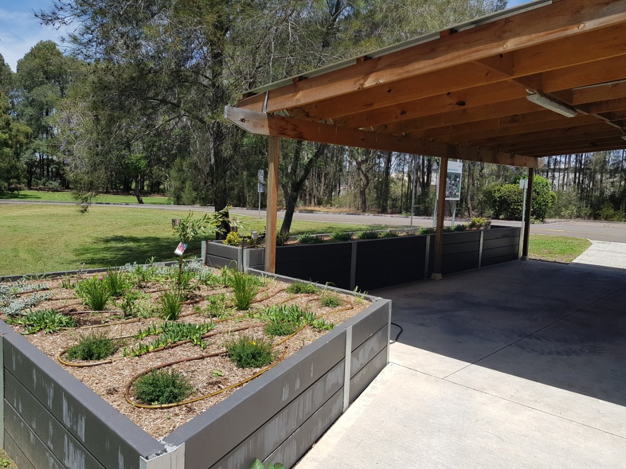 Biosolids used in a garden as fertiliser. 