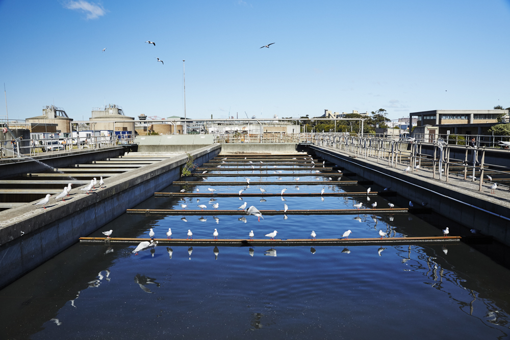 Sedimentation tanks