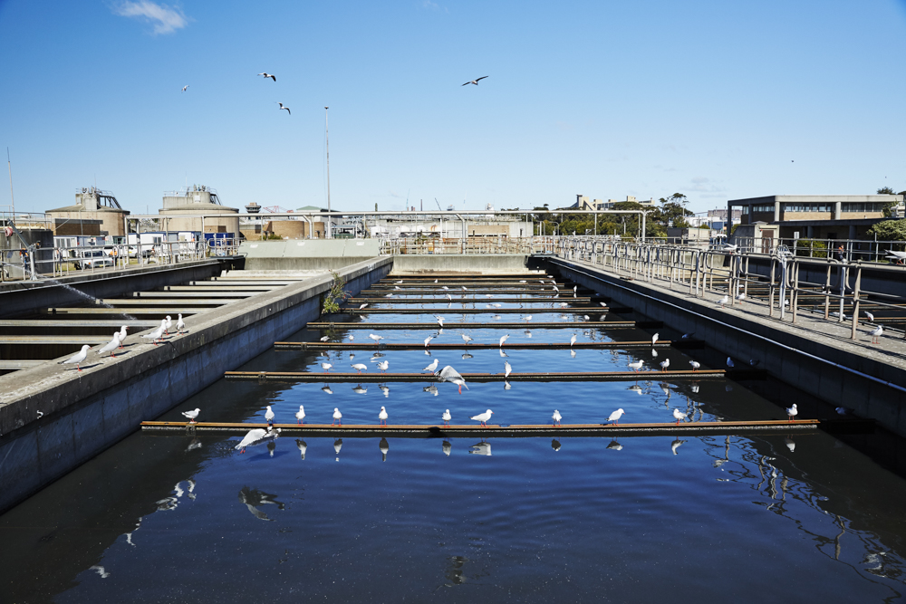 Sedimentation tanks