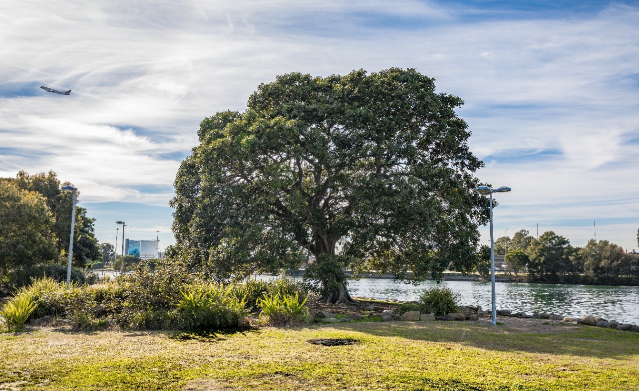 A photo of Alexandra Canal.