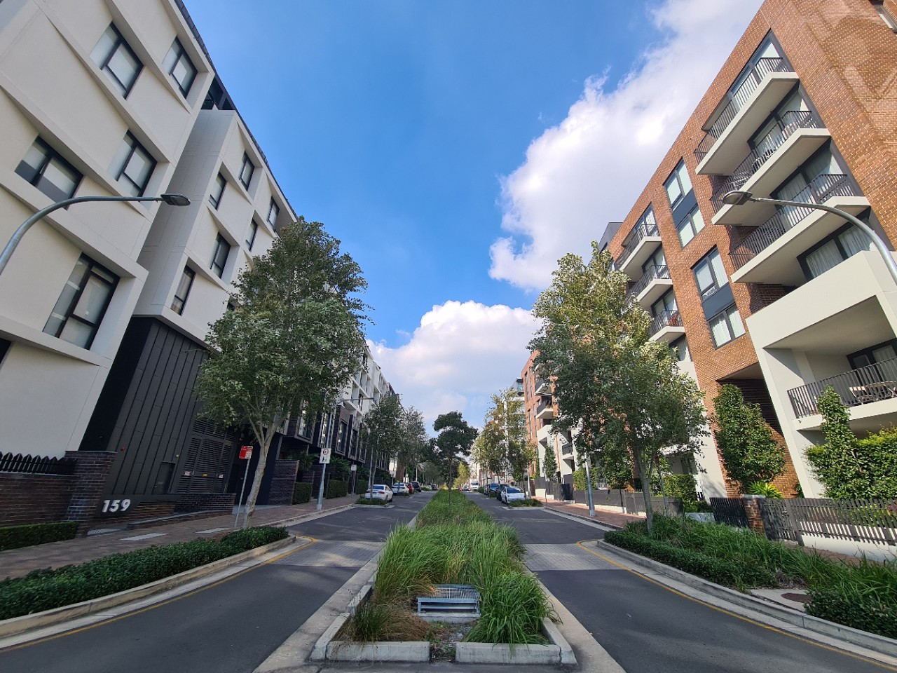 Street with water sensitive urban design.