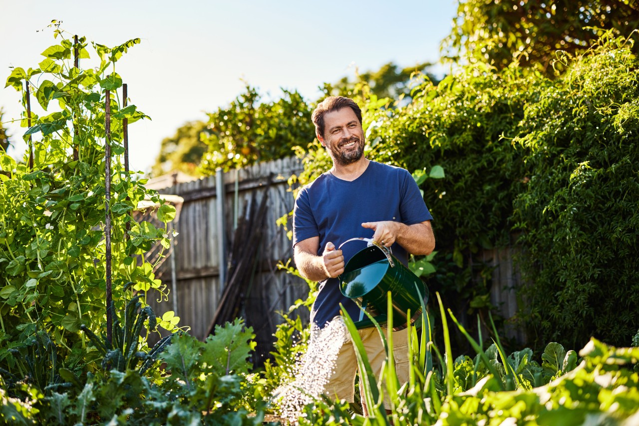 Man uses a watering can to water a garden