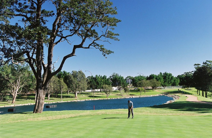 Man playing golf on a golf course.