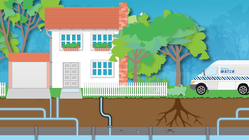 Wastewater blockages