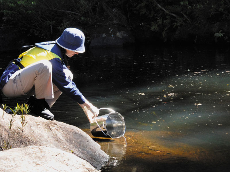 Staff member with a bucket collecting water from a water stream for sampling. 