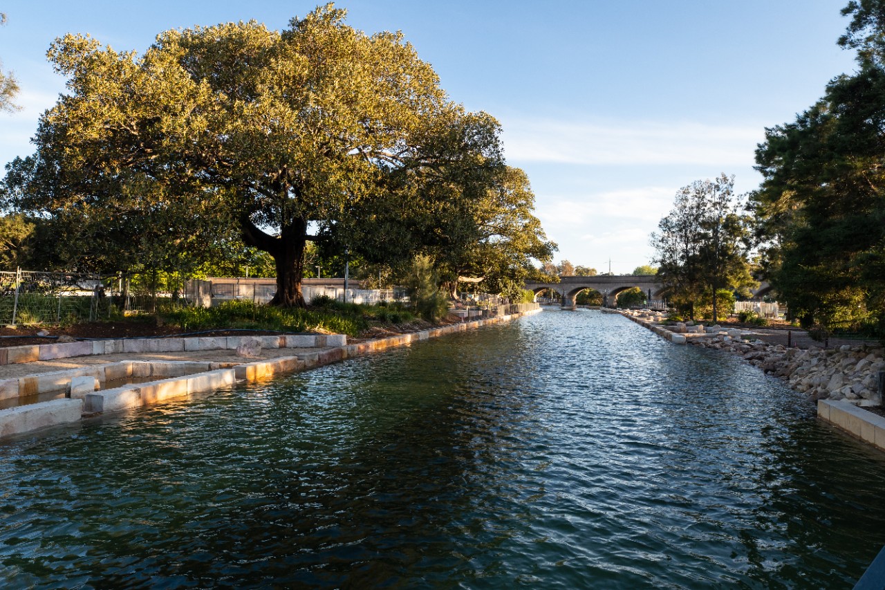 A view of the completed Johnstons Creek naturalisation project