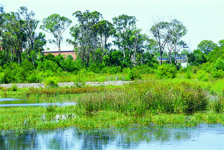 Wetlands in the Northwest Sydney area.