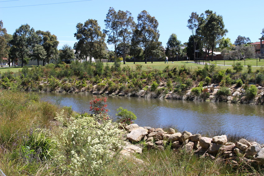 Creek with plants and rocks on sides of embankments