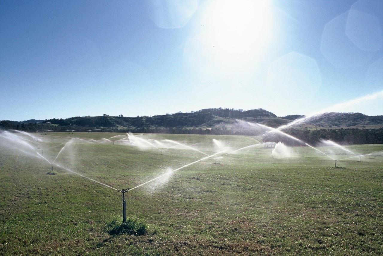 Sprinkler irrigation system using recycled water to on a field of grass.