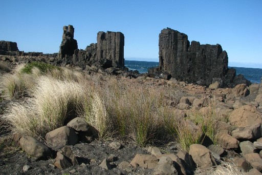 Bombo Headland