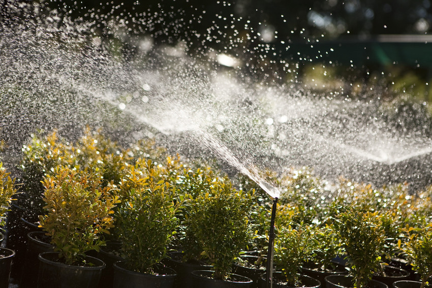 Sprinklers in a nursery