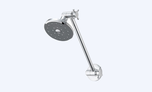 Premium chrome wall-mounted showerhead on adjustable arm.