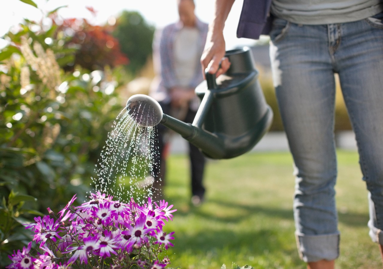 A person watering flowers using collected greywater from a watering can.